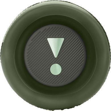 Портативная акустика JBL Flip 6 Squad (JBLFLIP6SQUAD) JBLFLIP6SQUAD фото