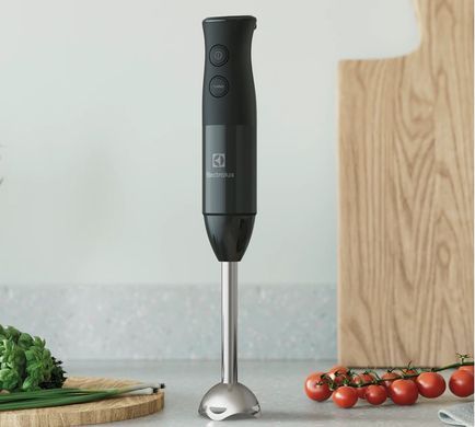 Блендер Electrolux E3HB1-4GG (345018) E3HB1-4GG фото