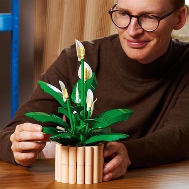 Конструктор LEGO Botanicals Спатифиллум 474 Деталей (11504) dt_186503 фото
