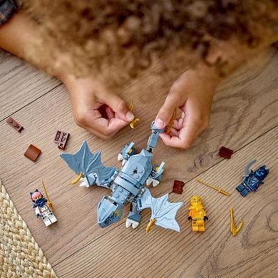 Конструктор LEGO NINJAGO Молодой дракон Рию 132 детали (71810)
