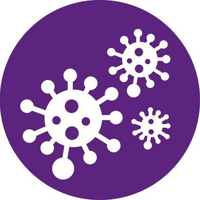 Фільтр для очищувача повітря PHILIPS FY2420/30 (337741) FY2420/30 фото