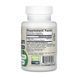 Мастикова смола, Mastic Gum, Jarrow Formulas, 60 рослинних капсул