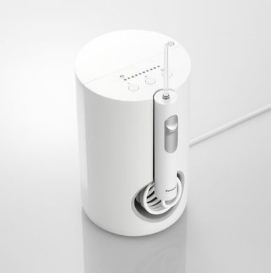 Іригатор Panasonic EW1614W520 (392806)
