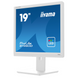 19 "5: 4 TN LCD Monitor, 1280x1024, 60 Гц, 5 мс, 1xvga/1xdvi, HAS, белое тело IIYAMA B1980D-W5 3702793