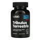 Трибулус террестріс VPLab Tribulus Terrestris 1500 мг, 90 капсул