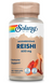 Reishi Mushroom 600mg - 100ct