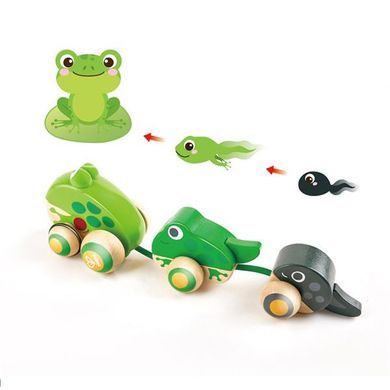 Деревянная каталка Hape Жабки (E0365) dt_28370 фото
