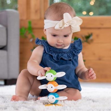 Магнітна пірамідка Fat Brain Toys Dizzy Bees Веселі бджілки (F294ML) dt_13681 фото