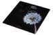 Весы Ardesto напольные BL (315125) SCB-965BL