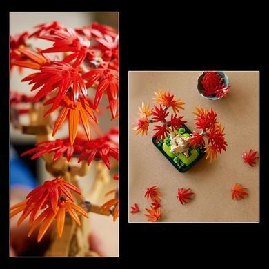Конструктор LEGO Botanicals Бонсай з японського червоного клена 474 деталі (10348)