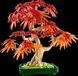 Конструктор LEGO Botanicals Бонсай з японського червоного клена 474 деталі (10348)