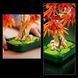 Конструктор LEGO Botanicals Бонсай з японського червоного клена 474 деталі (10348)
