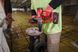 Гайкокрут акумуляторний 1'' MILWAUKEE, M18 FUEL ONEFHIWF1-0X 4933459732
