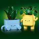 Конструктор LEGO Botanicals Щасливі рослини 217 деталей (10349)