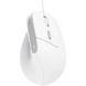 Мышь Bayo II Ergonomic Mouse - White TRUST Bayo II Ergon - White (25397) 3725697