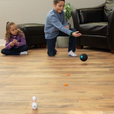 Игровой набор Fat Brain Toys CurveBowl Боулинг (FA271-1) dt_9485 фото