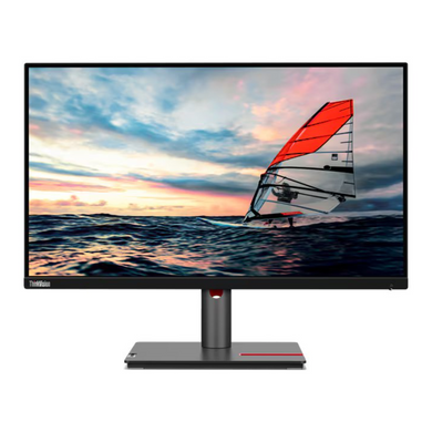 24,5" 16:9 IPS РК монітор, 1920х1080, 100 Гц, 4 мс (GtG), 1xVGA/1xHDMI 2.1/1xDP 1.4/1xDP Out/4xUSB 3 LENOVO P25i-30 (63F4MAT1UA) 3725436 фото