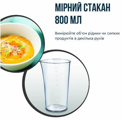 Занурювальний блендер Tefal HB67E830 (6998313) HB67E830 фото