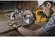 Пила торцовочная сетевая DeWALT DWS773 DWS773