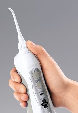 Іригатор Panasonic EW1411H321 (299992)