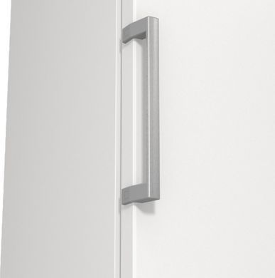 Gorenje Морозильна камера, 185.5x59.5х66.3, 280л, 1дв., A+, NF, білий (373327) FN619FEW5 фото
