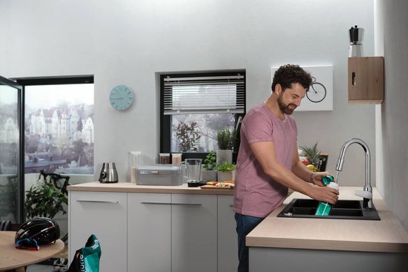 Смеситель для кухни Hansgrohe Focus M42, дл.излива - 224мм, вытяжной, 1 рычаг, KM220, хром