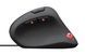 Trust GXT144 REXX ERGONOMIC BLACK (339397) 22991_TRUST