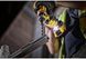 Набір свердел по металу DeWALT DT70728