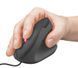 Trust GXT144 REXX ERGONOMIC BLACK (339397) 22991_TRUST