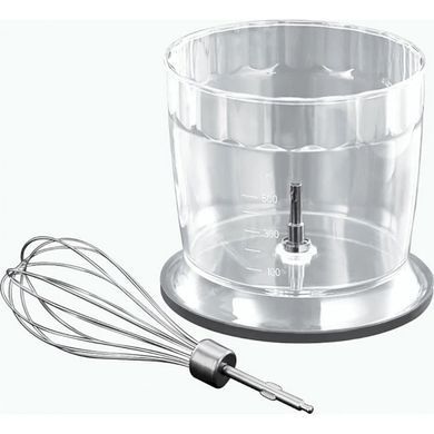 Занурювальний блендер Russell Hobbs 24702-56 Matte Black 3in1 (6651540) 23825026002 фото