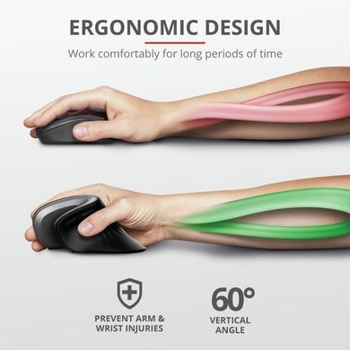 Trust Миша VERRO ERGONOMIC WL (318478) 23507_TRUST фото