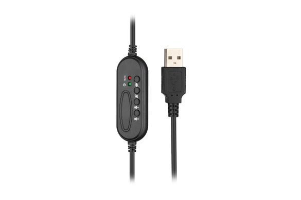 Гарнітура ПК стерео On-ear 2E CH11 USB, omni-mic, 2м, чорний (334523) 2E-CH11SU фото