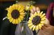 Конструктор LEGO Botanicals Букет подсолнухов 686 деталей (11502) dt_186721