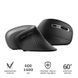 Trust Миша VERRO ERGONOMIC WL (318478) 23507_TRUST