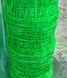 Сітка шпалерна 15*17"AgroStar"1.7*500 м