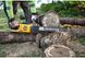 Пила ланцюгова акумуляторна безщіткова DeWALT DCMCS575N