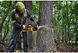 Пила ланцюгова акумуляторна безщіткова DeWALT DCMCS575N