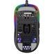 Cherry Xtrfy Мышь MZ1 RGB USB Black XG-MZ1-RGB