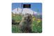 Весы Ardesto напольные Marmot (365100) SCB-965MARMOT