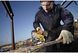 Пила лобзикова акумуляторна DeWALT DCS331N DCS331N