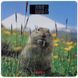 Весы Ardesto напольные Marmot (365100) SCB-965MARMOT