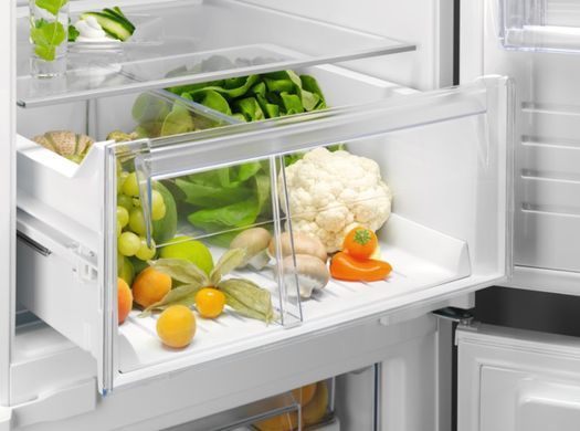 Холодильник Electrolux RNT6TE19S (6926173) 925561318 фото