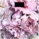 Весы напольные Ardesto Peonies (356301) SCB-965PEONIES