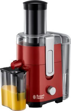 Russell Hobbs 24740-56 Desire (299590) 24740-56 фото