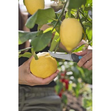 Ніж GARDENA VeggieCut для збирання врожаю 12211-30.000.00 фото