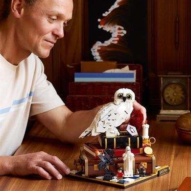 Конструктор LEGO Harry PotterTM Философский камень. Коллекционный набор 1571 Деталь ( 76466 )