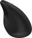 HP Мышь 920 Ergonomic Vertical, USB-A/WL/BT, чёрный 6H1A4AA