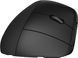 HP Мышь 920 Ergonomic Vertical, USB-A/WL/BT, чёрный 6H1A4AA