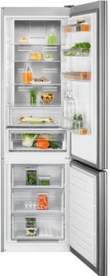 Electrolux Холодильник с нижн. мороз. камерою (349201) RNT7ME34G1 фото