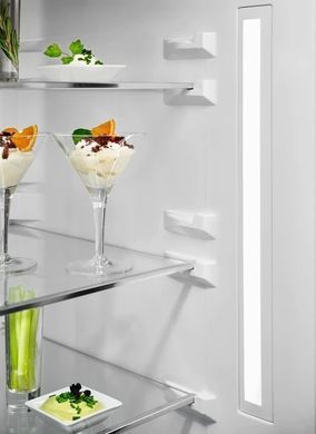 Electrolux Холодильник с нижн. мороз. камерою (349201) RNT7ME34G1 фото